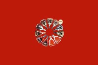 南宁马山回收红酒